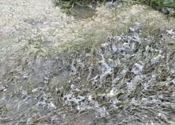 Alerta roja en l’Horta Sur: El goteo incesante de vertidos en Alcàsser que amenaza l’Albufera