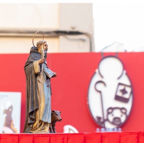 Valencia con San Antonio Abad: Fe, tradición y una gran alianza solidaria por los animales 2 G 2LYmjX0AE7151