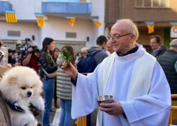Valencia con San Antonio Abad: Fe, tradición y una gran alianza solidaria por los animales