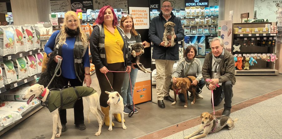 Valencia con San Antonio Abad: Fe, tradición y una gran alianza solidaria por los animales 3 G zIpkma8AAQ2RZ