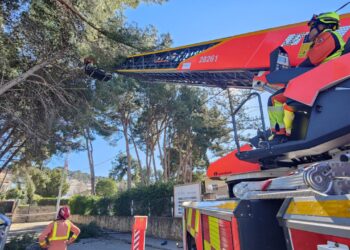 Alerta naranja en la Comunitat Valenciana: el temporal de viento deja cientos de incidentes y rachas de hasta 120 km/h