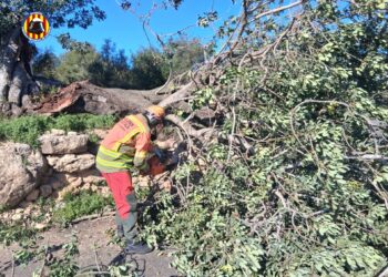 El nuevo temporal azota la Comunitat Valenciana: rachas de viento de 120 km/h y cortes de carreteras en el interior 14 El nuevo temporal azota la Comunitat Valenciana: rachas de viento de 120 km/h y cortes de carreteras en el interior