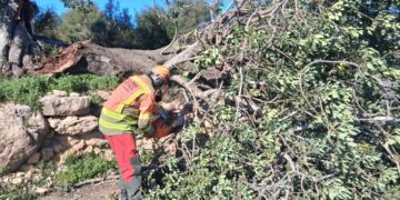 El nuevo temporal azota la Comunitat Valenciana: rachas de viento de 120 km/h y cortes de carreteras en el interior
