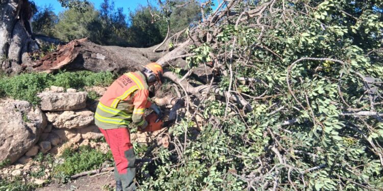 El nuevo temporal azota la Comunitat Valenciana: rachas de viento de 120 km/h y cortes de carreteras en el interior