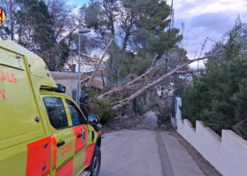 El viento castiga a la Comunitat Valenciana con rachas de fuerza huracanada y decenas de intervenciones