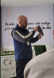 Magic eagle picassent d4