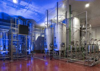 Solos avanza en la producción de Vino Solo Premium a escala comercial