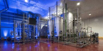 Solos avanza en la producción de Vino Solo Premium a escala comercial