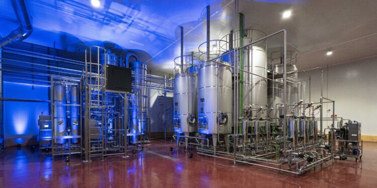 Solos avanza en la producción de Vino Solo Premium a escala comercial 1 Solos avanza en la producción de Vino Solo Premium a escala comercial