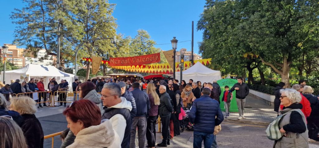 WhatsApp Image 2026 01 11 at 13.37.573