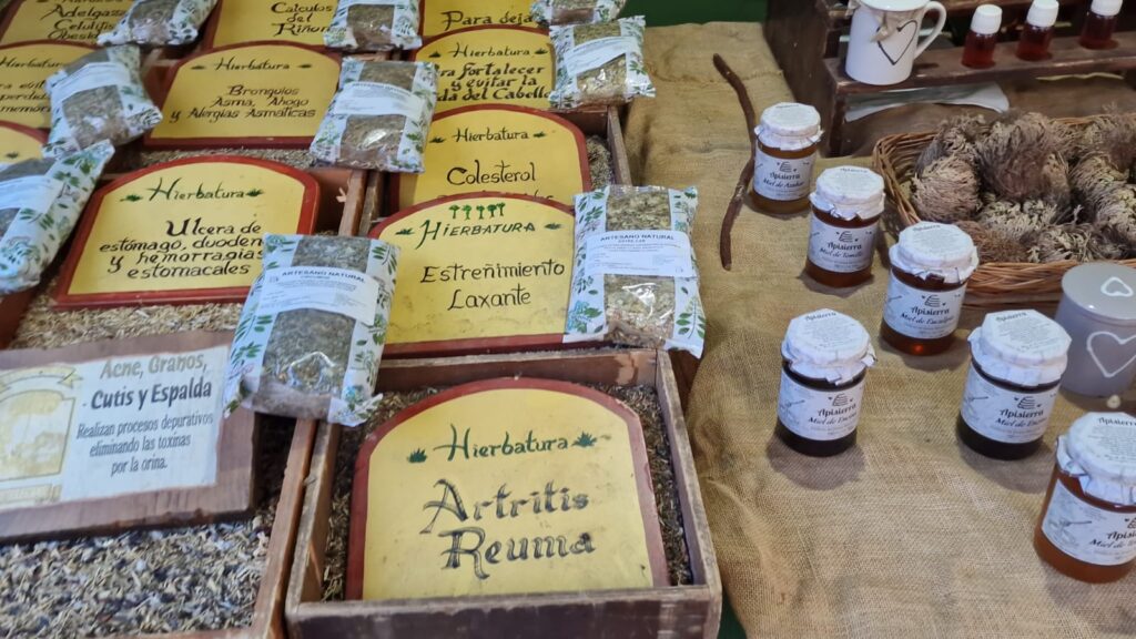 WhatsApp Image 2026 01 11 at 13.37.58