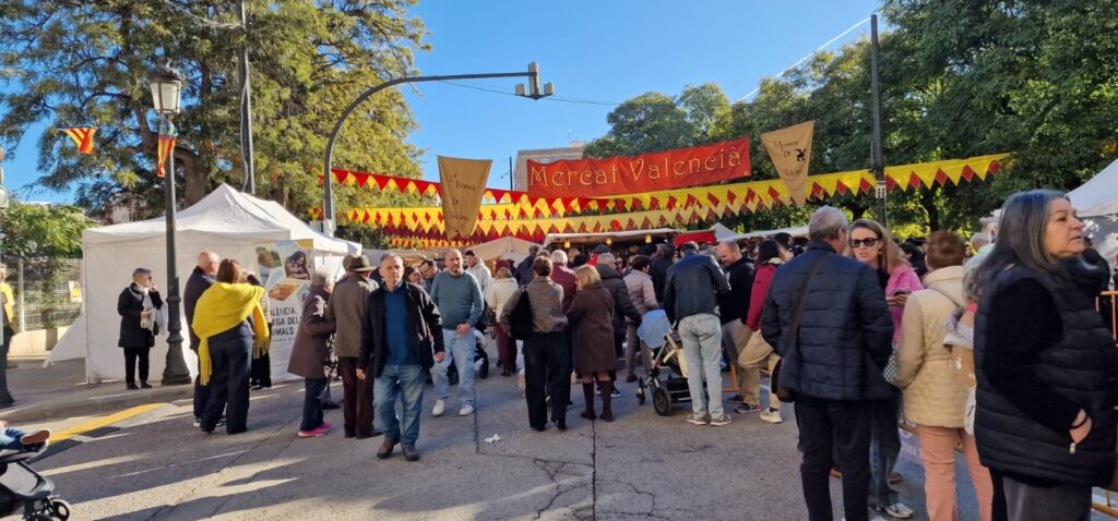 WhatsApp Image 2026 01 11 at 13.37.592