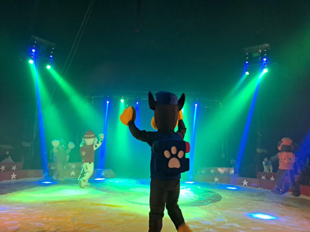 WhatsApp Image 2026 01 12 at 11.52.212