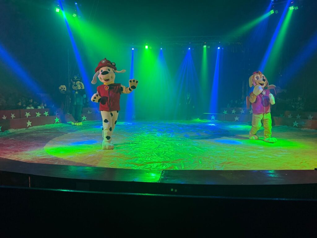 WhatsApp Image 2026 01 12 at 11.52.22