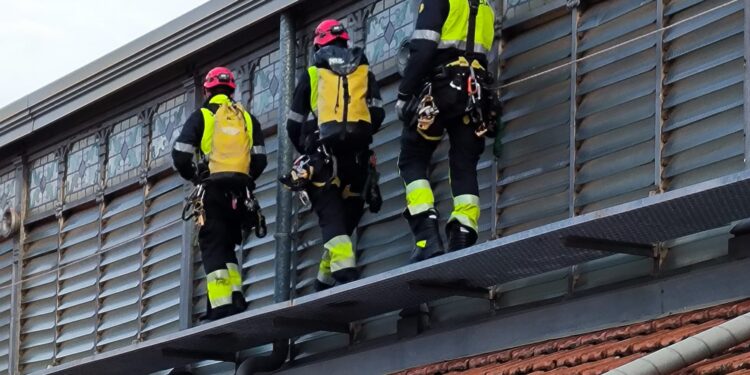 El Ayuntamiento licita la reparación de la cubierta del Mercado Central por 60.500 euros tras las múltiples goteras
