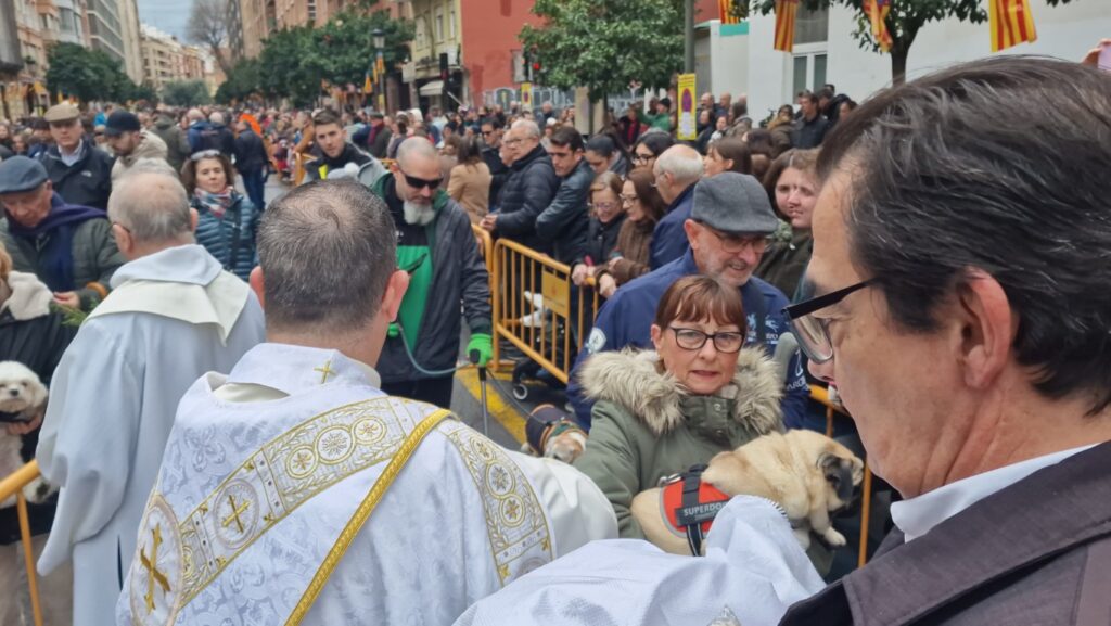 bendicion de animales de la calle Sagunto reune a miles de personas en Valencia por San Antonio Abad 20260117 104730 168 Mediana