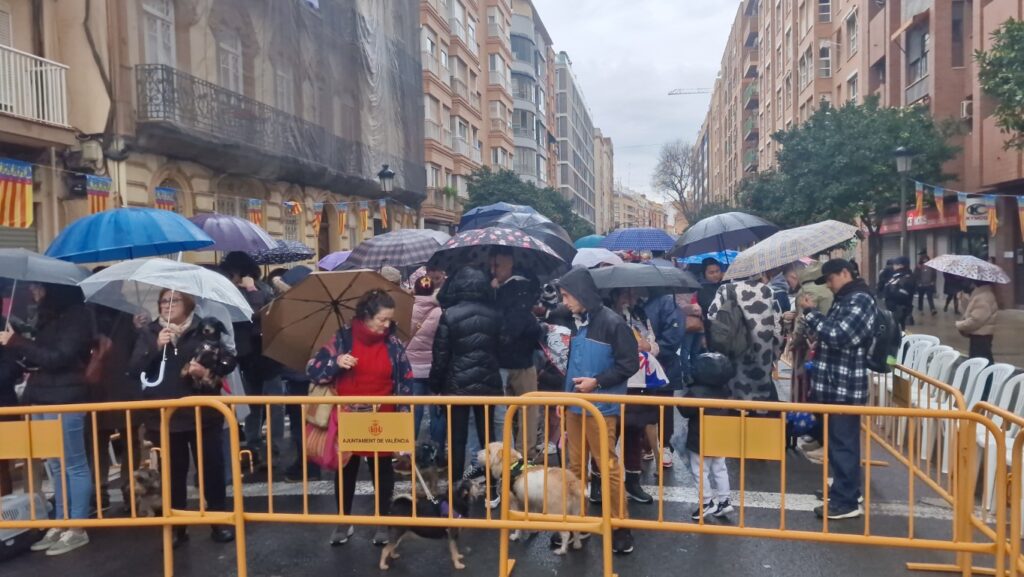 bendicion de animales de la calle Sagunto reune a miles de personas en Valencia por San Antonio Abad 20260117 104730 2 Mediana