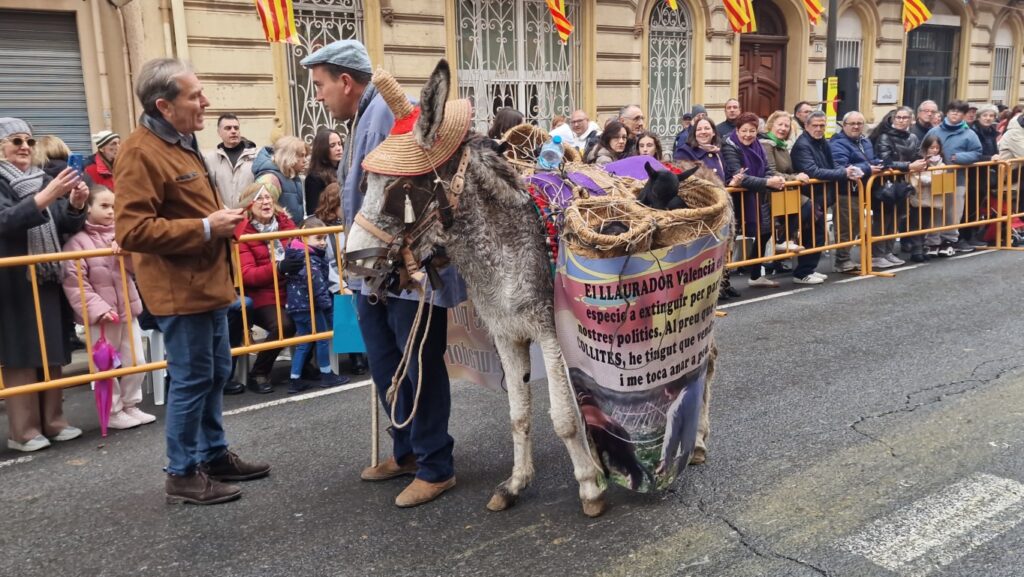 bendicion de animales de la calle Sagunto reune a miles de personas en Valencia por San Antonio Abad 20260117 104730 398 Mediana