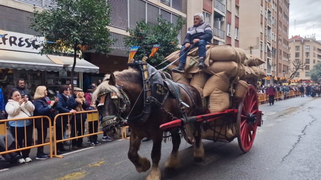 bendicion de animales de la calle Sagunto reune a miles de personas en Valencia por San Antonio Abad 20260117 104730 410 Mediana