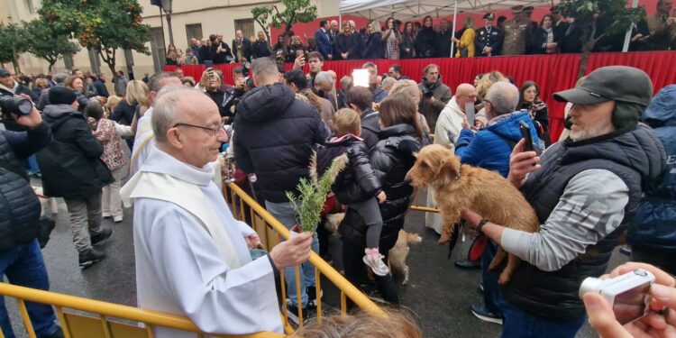 Miles de vecinos y mascotas toman la calle Sagunto en la bendición de animales de San Antonio Abad