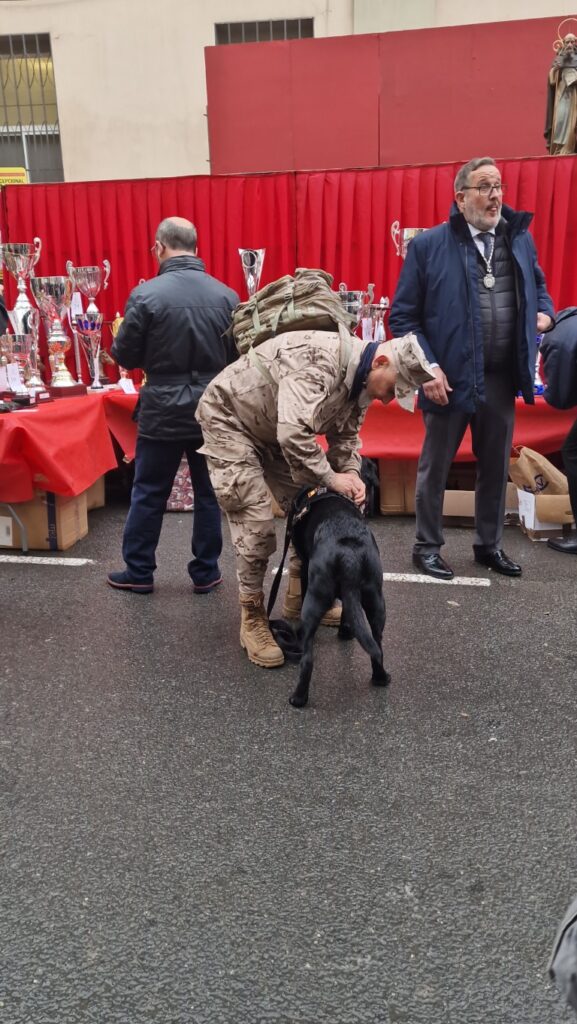 bendicion de animales de la calle Sagunto reune a miles de personas en Valencia por San Antonio Abad 20260117 104730 7 Mediana