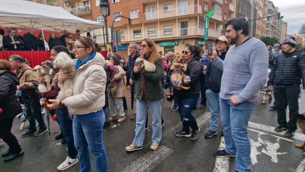 bendicion de animales de la calle Sagunto reune a miles de personas en Valencia por San Antonio Abad 20260117 104730 70 Mediana