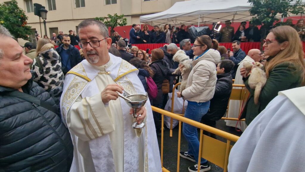 bendicion de animales de la calle Sagunto reune a miles de personas en Valencia por San Antonio Abad 20260117 104730 71 Mediana