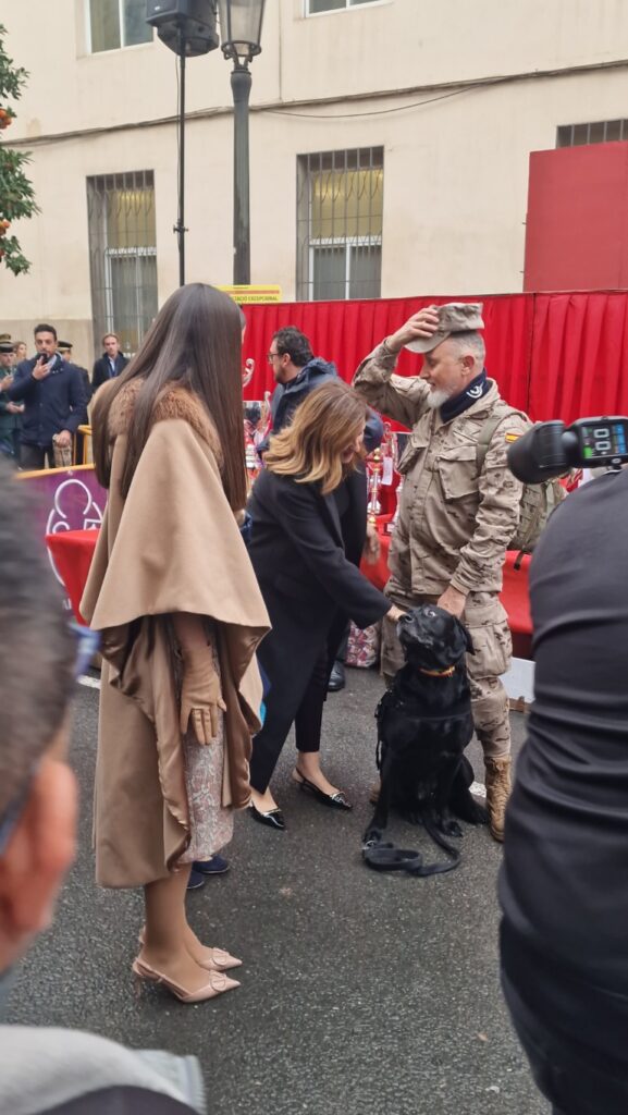 bendicion de animales de la calle Sagunto reune a miles de personas en Valencia por San Antonio Abad 20260117 104730 8 Mediana