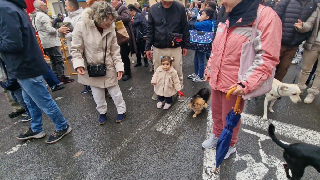 bendicion de animales de la calle Sagunto reune a miles de personas en Valencia por San Antonio Abad 20260117 104730 81 Mediana