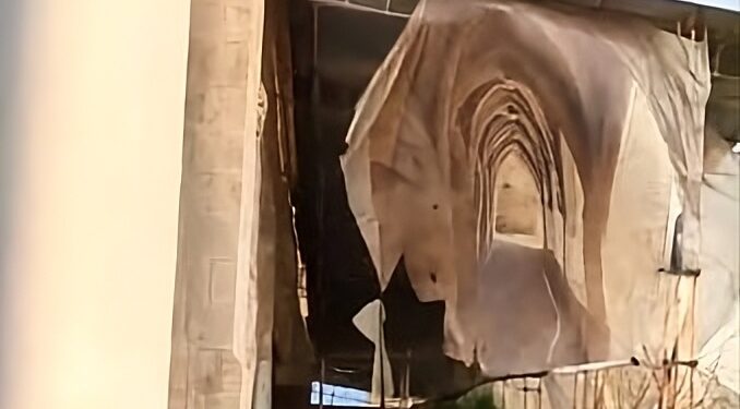 Sant Domènech Xàtiva: El claustro de la vergüenza y la "pataleta" de un gobierno contra la realidad 1 Estado de abandono del claustro de Sant Domènech en Xàtiva con lonas rotas