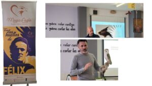 magic eagle picassent d3