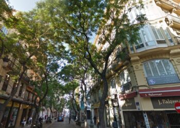 El temporal se ensaña con Valencia: una mujer herida tras el desplome de un árbol en San Vicente Mártir