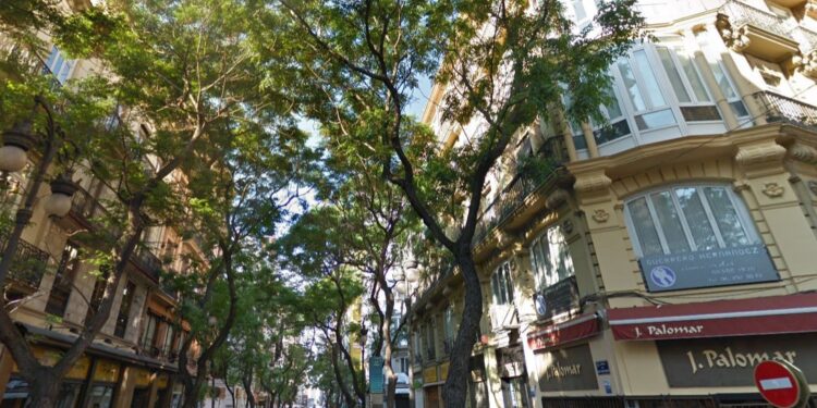 El temporal se ensaña con Valencia: una mujer herida tras el desplome de un árbol en San Vicente Mártir