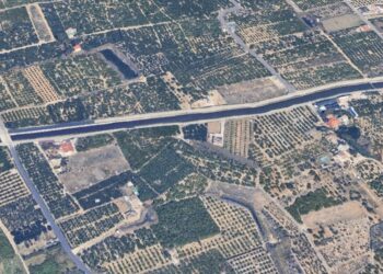 El viento de poniente trunca la noche en Xeraco: un incendio se cobra la vida de cinco caballos