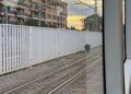 El SEPRONA interviene en Metrovalencia para capturar a un jabalí en el túnel de Empalme
