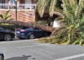 El temporal de viento se ensaña con Valencia: una palmera aplasta un vehículo en la calle Jaume Roig