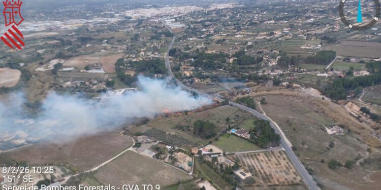 Eficaz despliegue de emergencias logra sofocar un incendio forestal en Ontinyent en tiempo récord