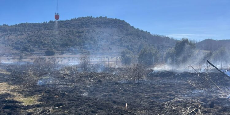 Los servicios de extinción logran sofocar un incendio de vegetación en Vistabella del Maestrat 1 Los servicios de extinción logran sofocar un incendio de vegetación en Vistabella del Maestrat
