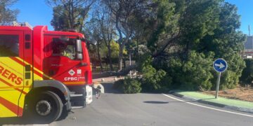 Temporal de viento en Castellón: Los bomberos intervienen en 45 emergencias durante una mañana crítica