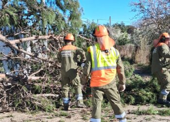 Emergencia por viento en la Comunitat Valenciana: Más de 500 intervenciones de bomberos en una tarde crítica
