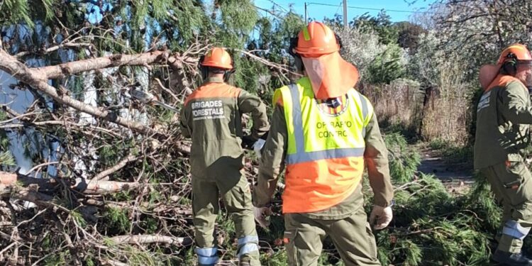Emergencia por viento en la Comunitat Valenciana: Más de 500 intervenciones de bomberos en una tarde crítica