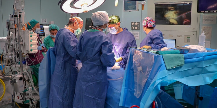Hito histórico en el Hospital La Fe: Diez trasplantes en solo 24 horas movilizan a un centenar de profesionales
