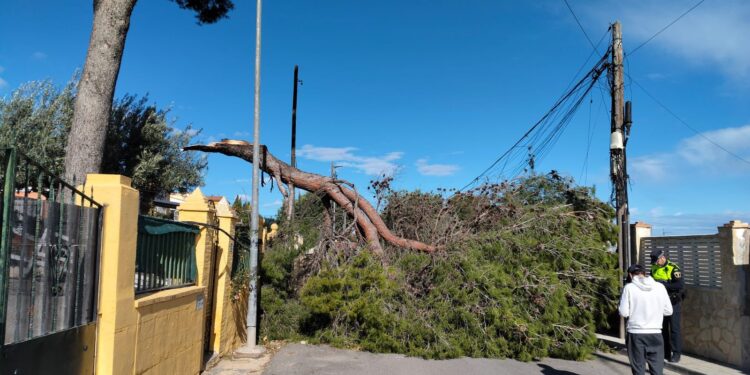 El Ayuntamiento de Torrent decreta el cierre de instalaciones deportivas por el temporal de viento