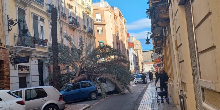Alerta naranja en Valencia: rachas de 150 km/h de viento dejan tres heridos y el caos en el transporte