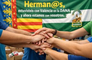 WhatsApp Image 2026 02 12 at 13.27.33