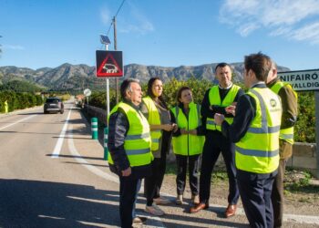 Inteligencia Artificial al servicio de la seguridad vial: la Safor estrena un sistema pionero para frenar los accidentes con jabalíes