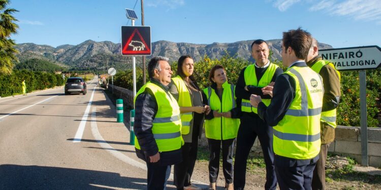 Inteligencia Artificial al servicio de la seguridad vial: la Safor estrena un sistema pionero para frenar los accidentes con jabalíes 1 Inteligencia Artificial al servicio de la seguridad vial: la Safor estrena un sistema pionero para frenar los accidentes con jabalíes