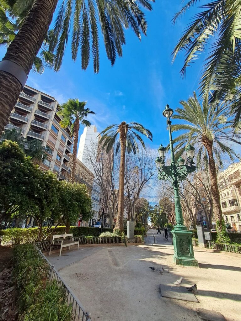 WhatsApp Image 2026 02 21 at 12.46.34