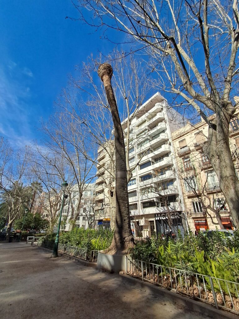 WhatsApp Image 2026 02 21 at 12.46.342