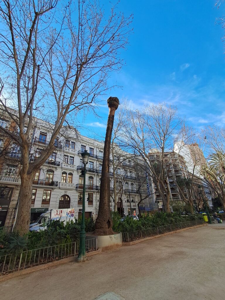 WhatsApp Image 2026 02 21 at 12.46.343